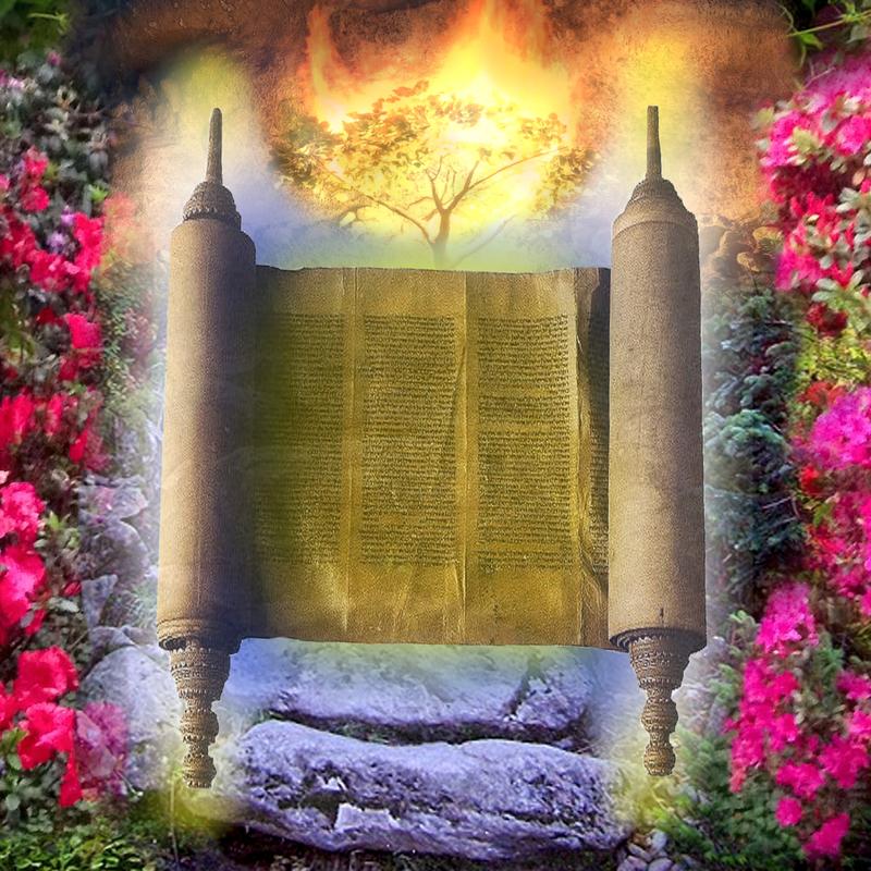 The Garden of Torah Kodak Moment