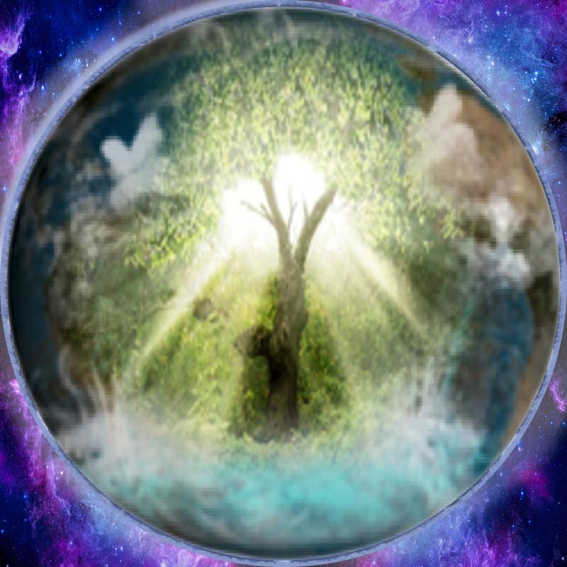 Tree Of Life Kodak Moment